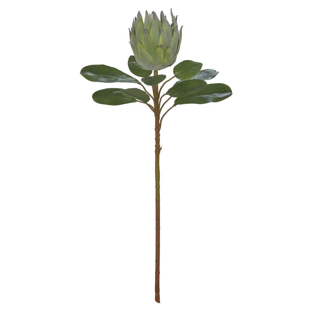 H.PROTEA FLOCKED C/COAT REAL TOQUE (VERDE) 70cm