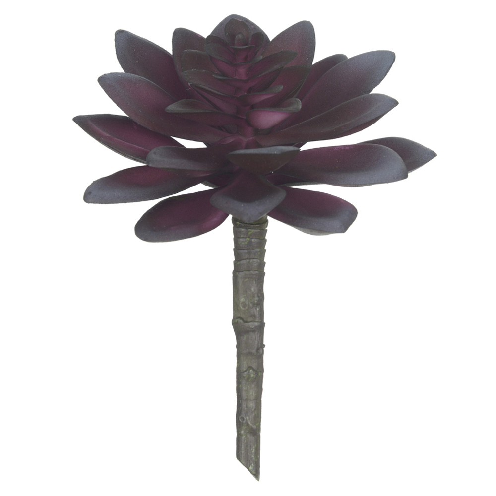 F.SUCULENTA PLASTICO (BEAUTY) 14cm