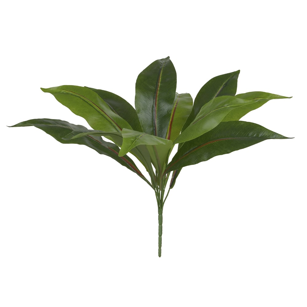 F.DRACENA FRAGRANS FORRACAO X11 (VERDE) 50cm