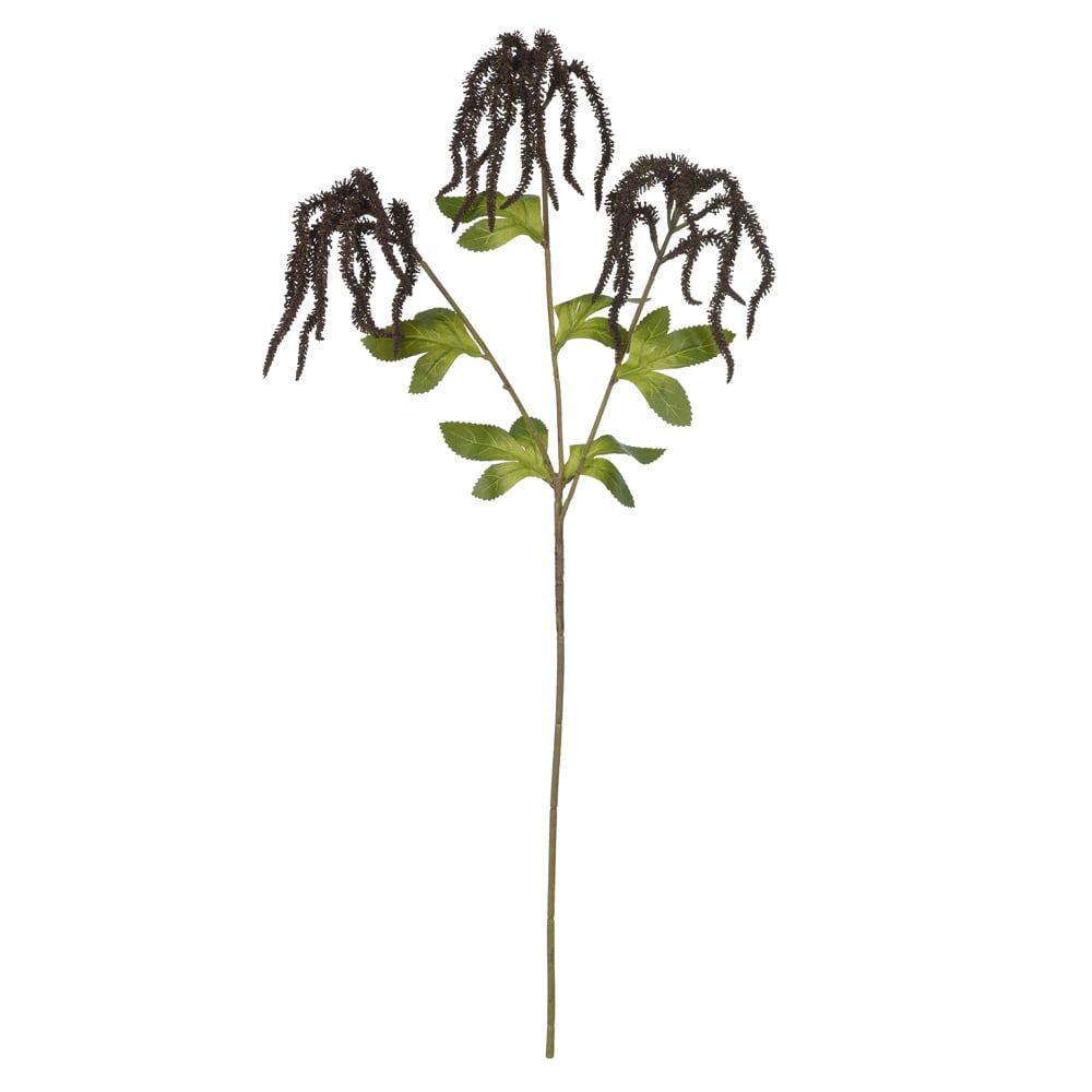 C.GALHO RABO DE RAPOSA (VERDE) 75cm