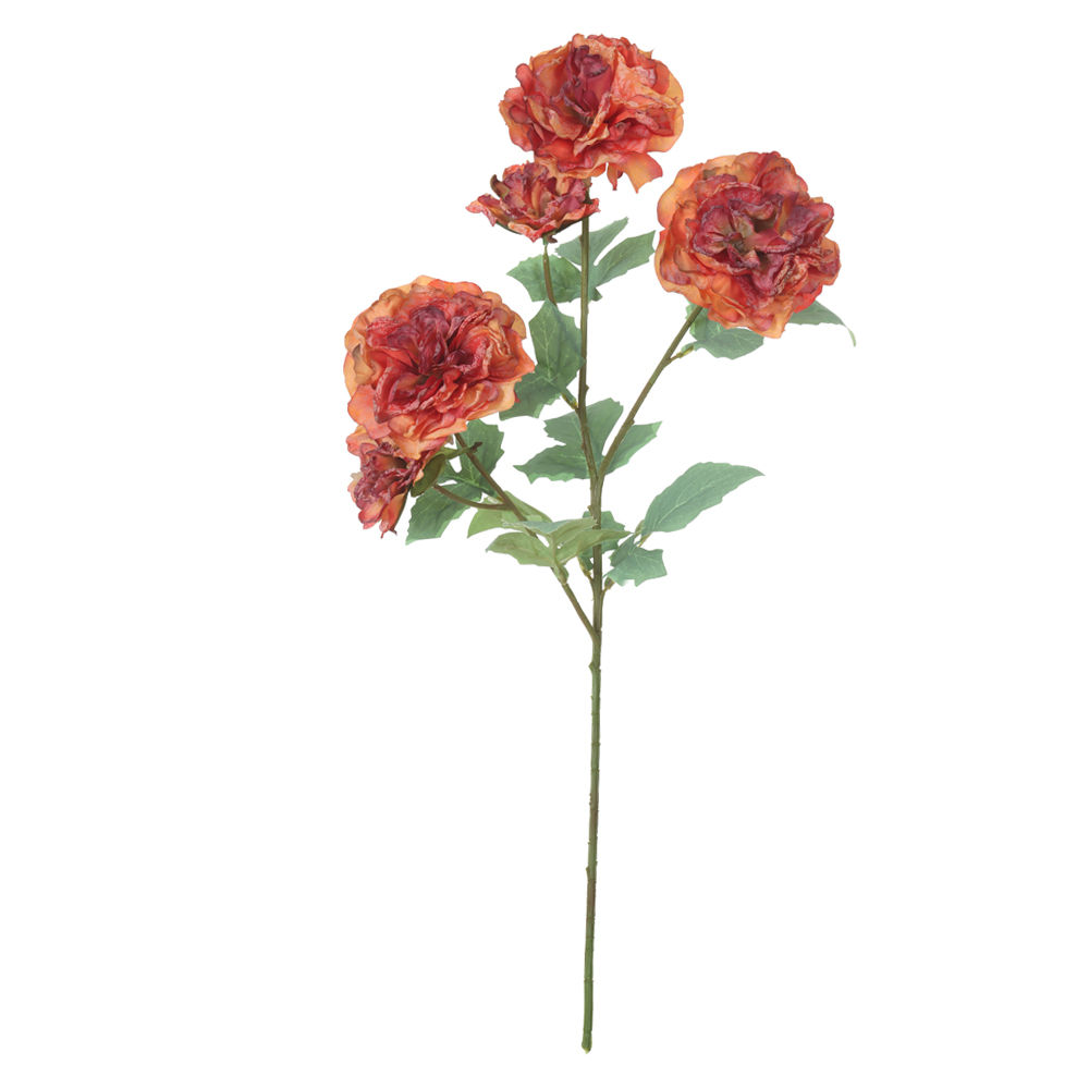 H.PEONIA X5 (OCRE) 72cm