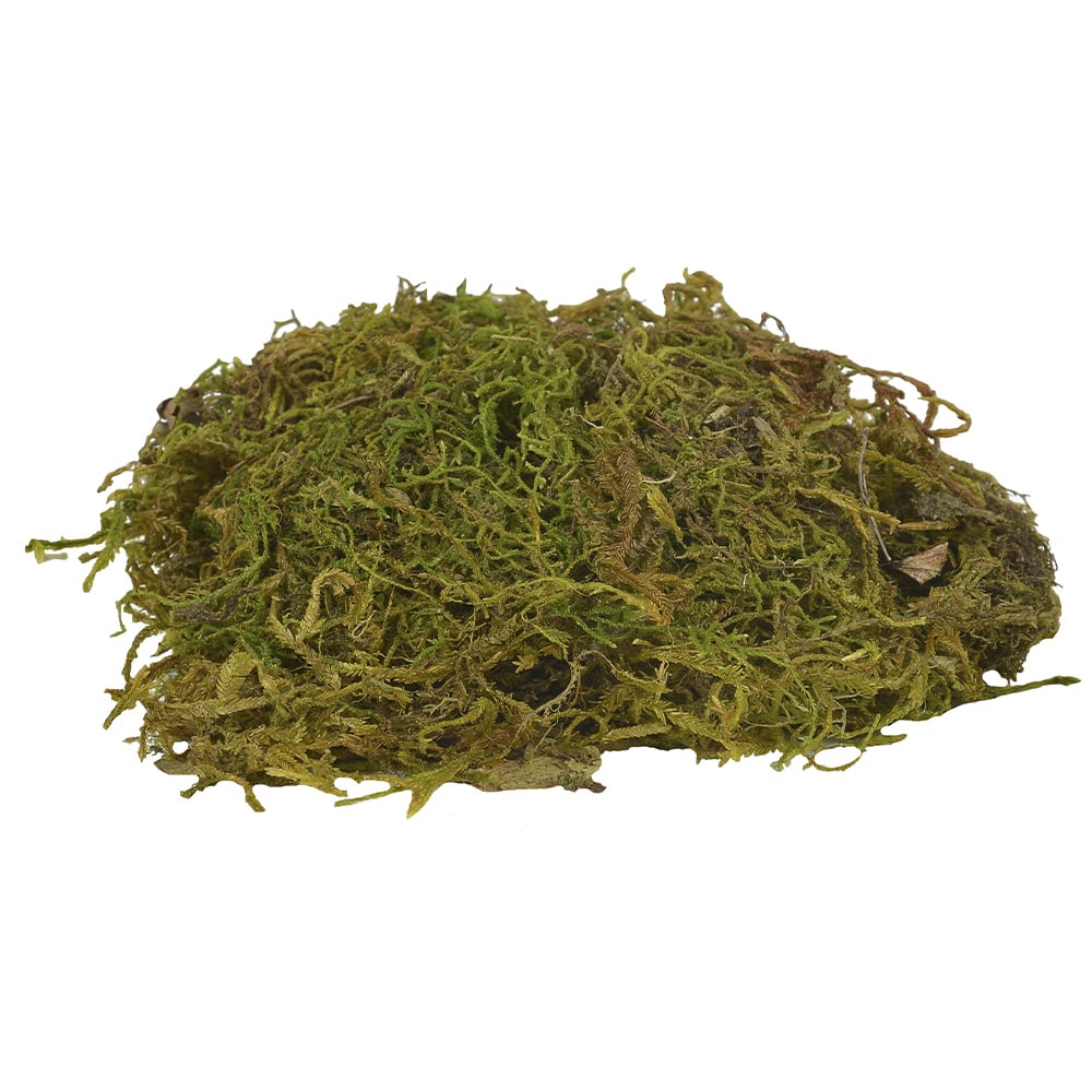 MUSGO VERDE TINGIDO (SACO 50G) 20X15CM