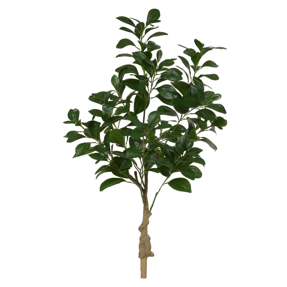 A.CLUSIA REAL TOQUE X188 (VERDE) 90cm
