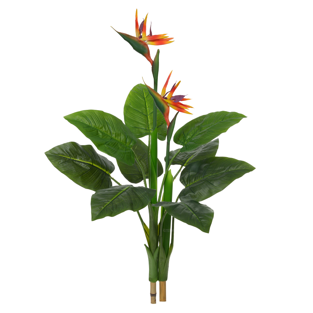 A.ESTRELICIA C/FLOR REAL TOQUE X15 (LARANJA) 1,1m