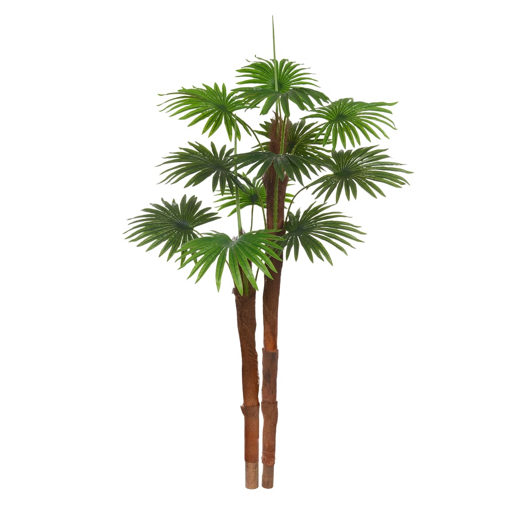 A.PALMEIRA LEQUE REAL TOQUE X12 (VERDE) 1,5m