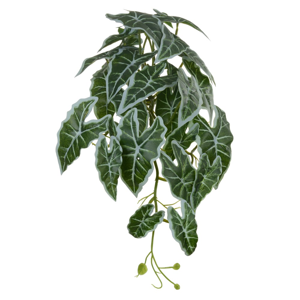 F.ALOCASIA PENDURAR REAL TOQUE X30 (VERDE BRANCO) 55cm