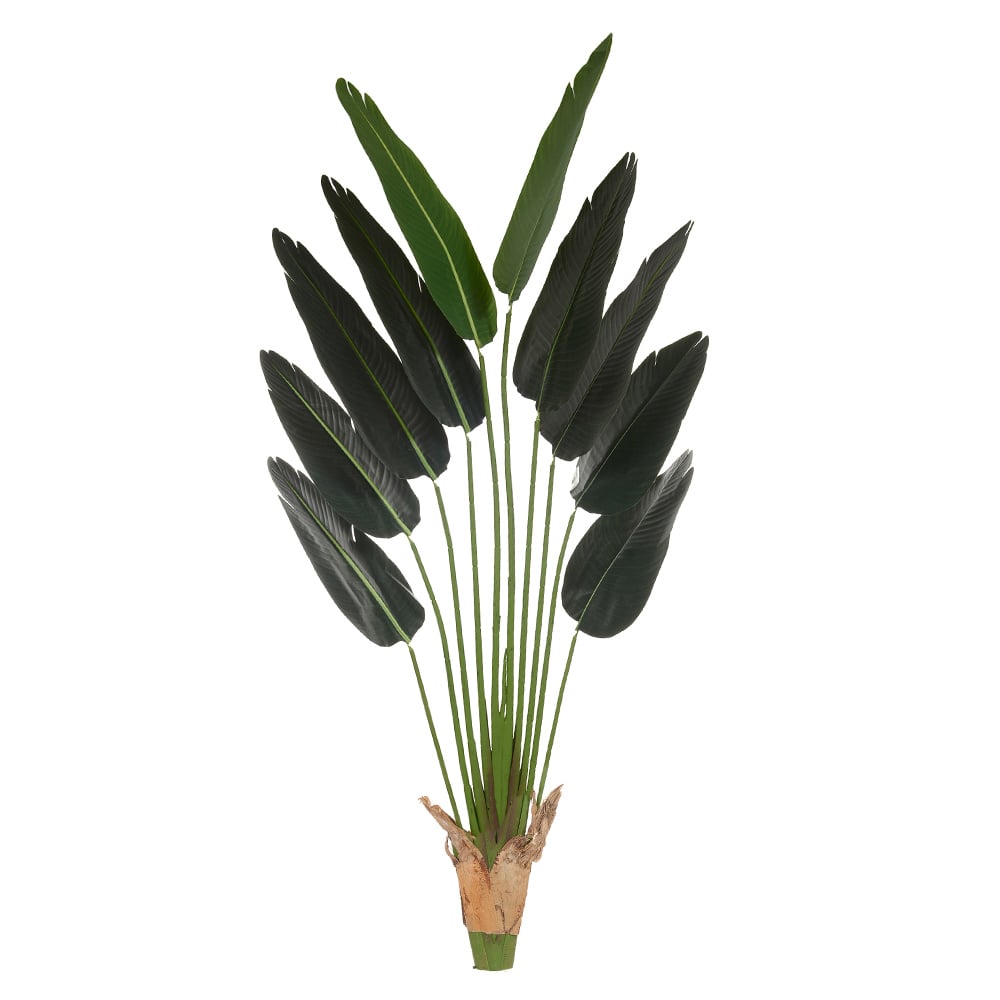 A.PALMEIRA VIAJANTE X10 (VERDE) 1,8m