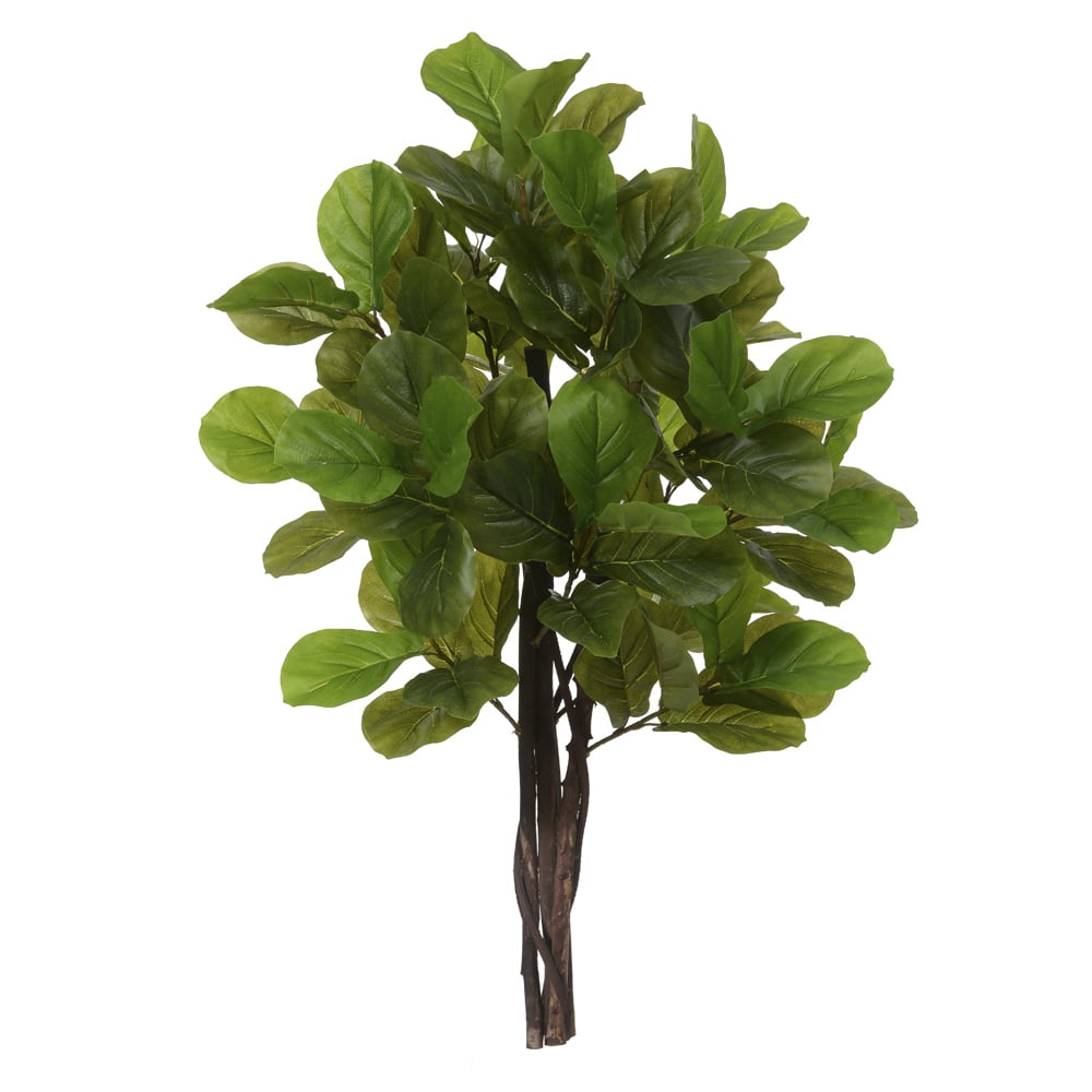 A.FICUS LYRATA REAL TOQUE X78 (VERDE) 1,3m