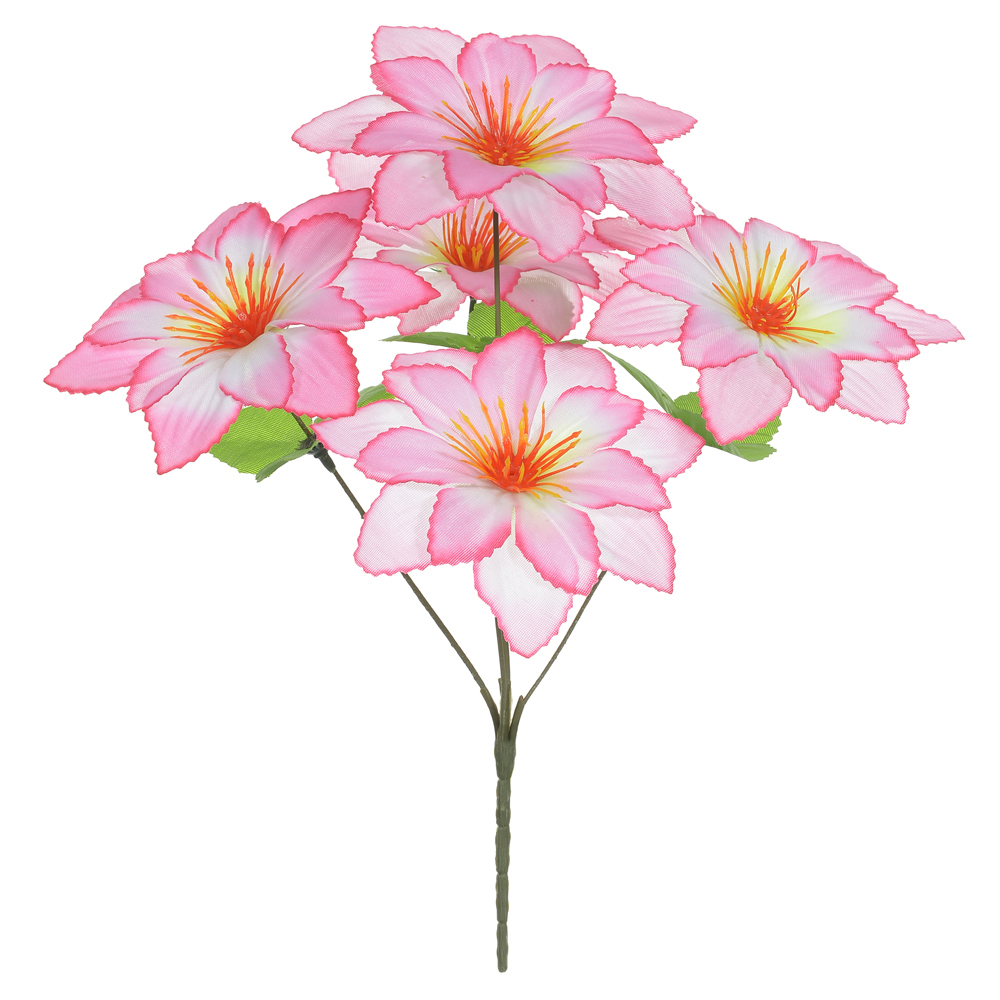 B.DALIA X5 (ROSA) 30cm