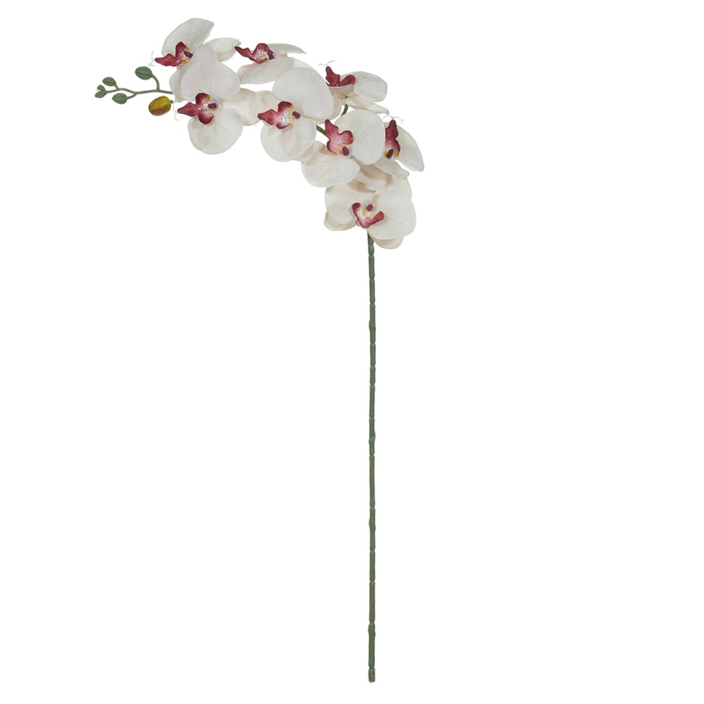 H.ORQUIDEA PHALAENOPSIS X8 (BRANCO BEAUTY) 92cm