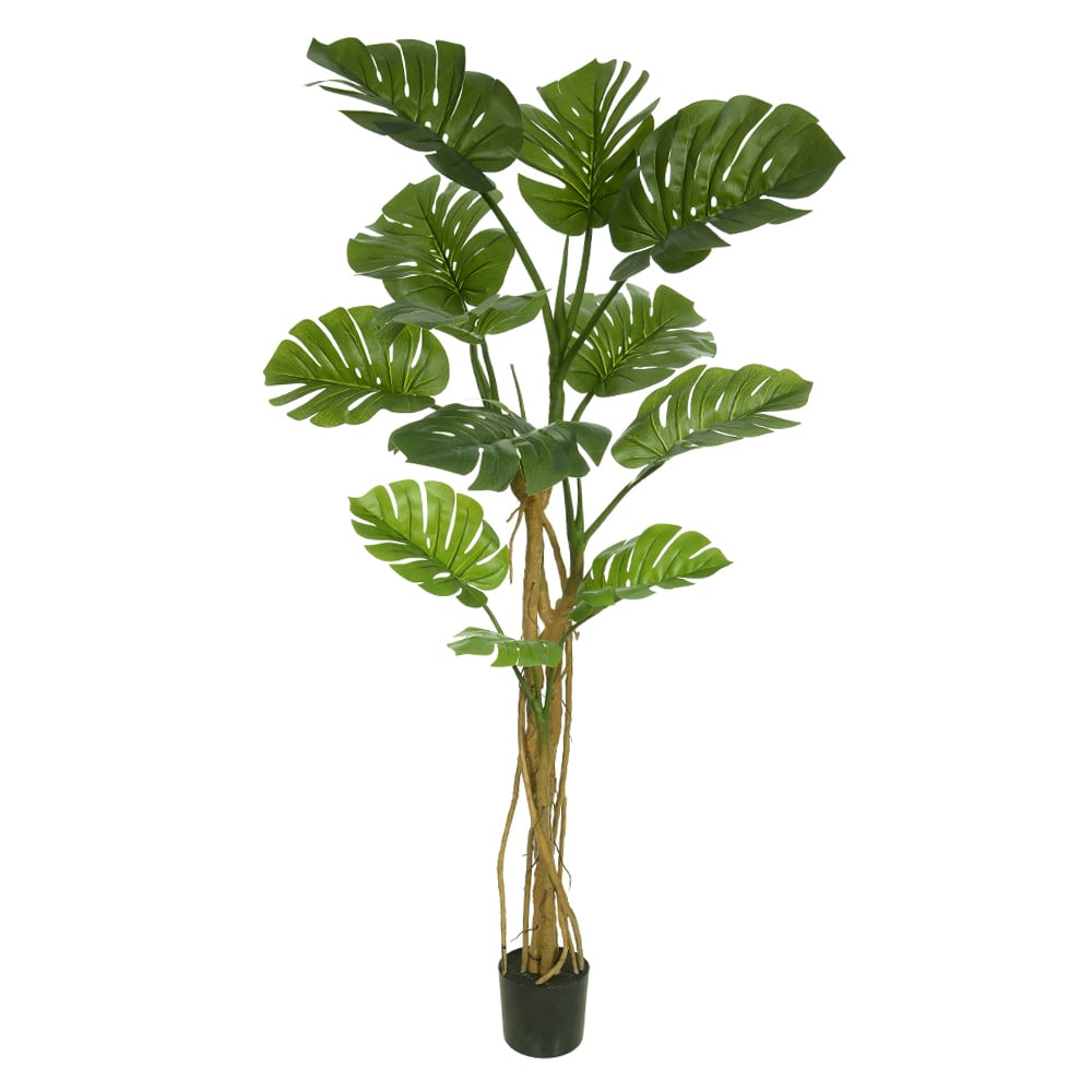 A.COSTELA DE ADAO REAL TOQUE PU C/POTE X12 (VERDE) 1,8m