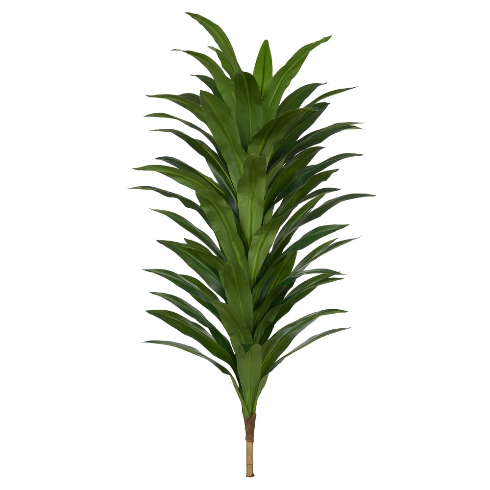 A.DRACENA REAL TOQUE X60 (VERDE) 1,5m