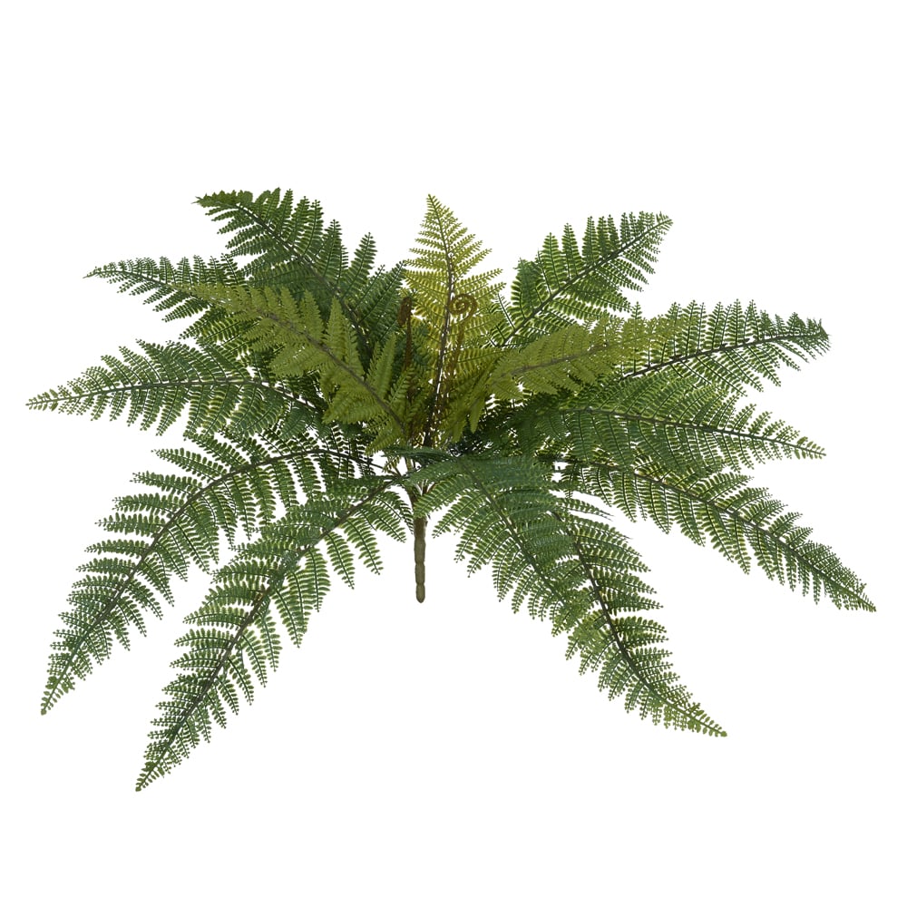 F.SAMAMBAIA C/PRINT PLASTICO X17 (VERDE 2T) 57cm