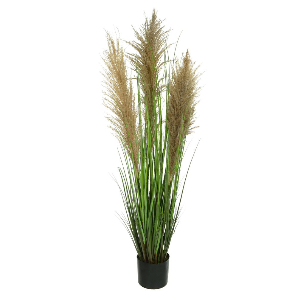 F.GRASS PAMPAS C/POTE X3 (VERDE) 1,2m