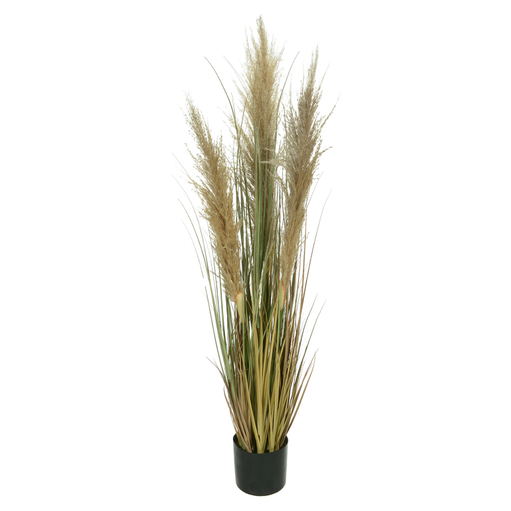 F.GRASS PAMPAS C/POTE X3 (VERDE OUTONO) 1,2m