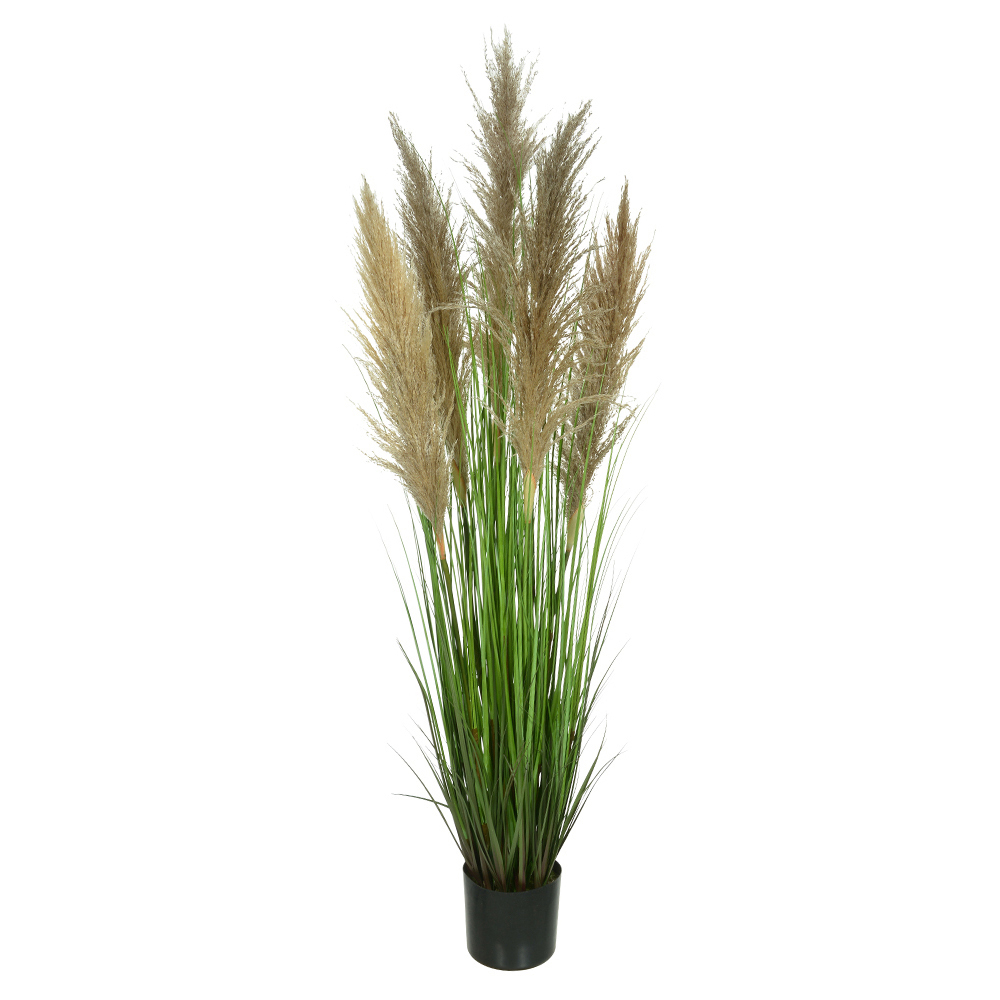 F.GRASS PAMPAS C/POTE X5 (VERDE) 1,5m