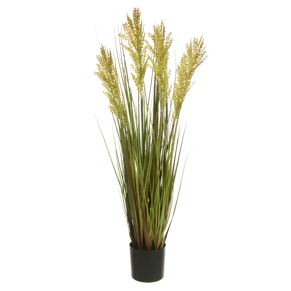 F.GRASS GRAOS C/POTE X4 (VERDE) 90cm