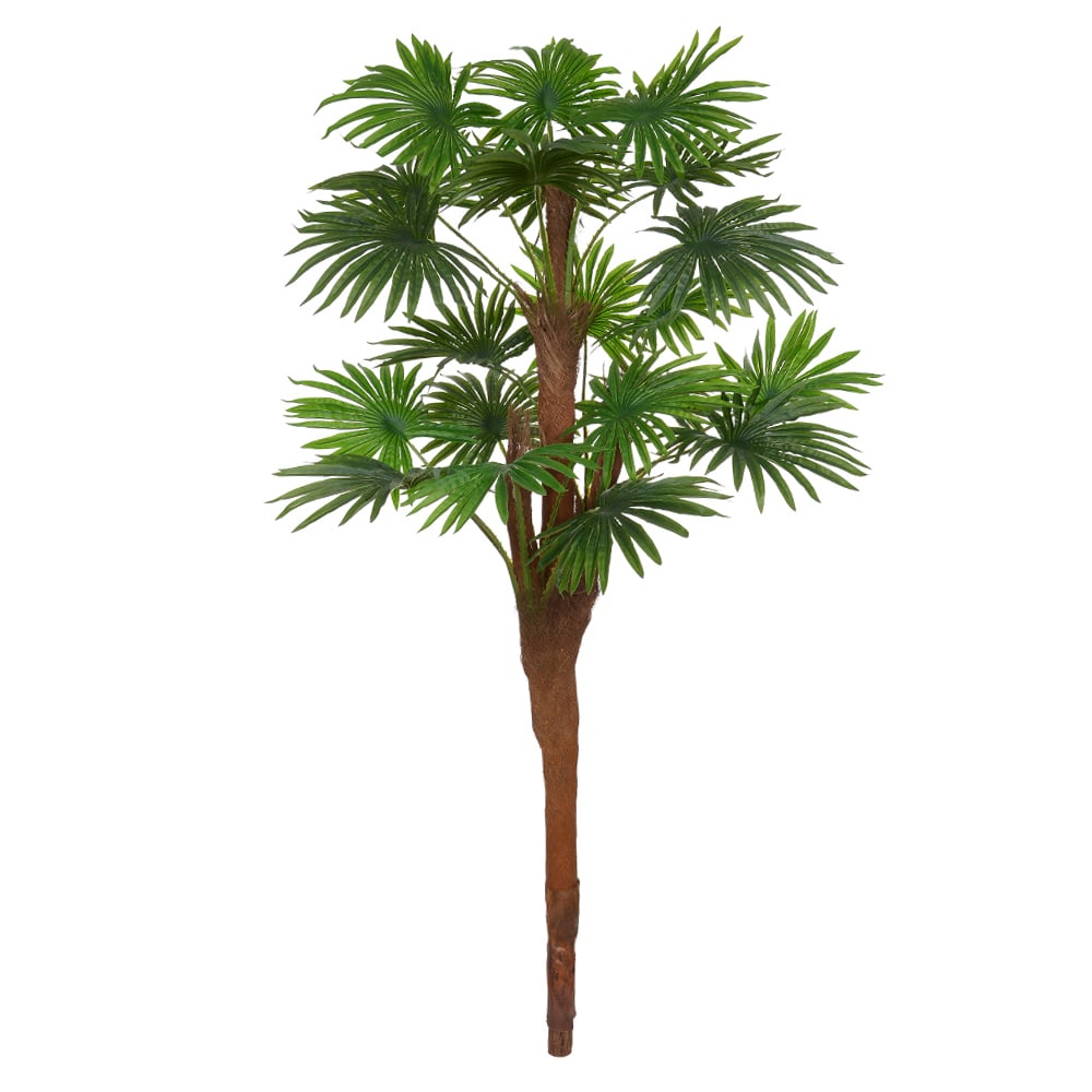 A.PALMEIRA LEQUE REAL TOQUE X18 (VERDE) 1,7m