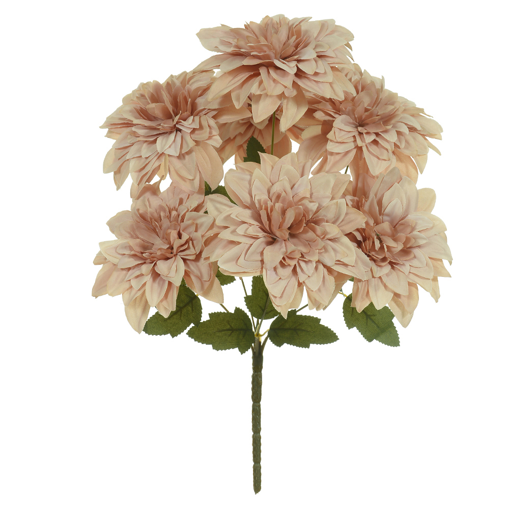 B.DALIA X7 (CHA) 45cm