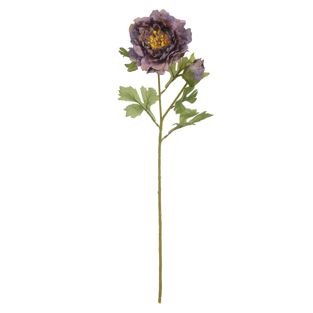 H.PEONIA X2 (PURPURA OUTONO) 58cm