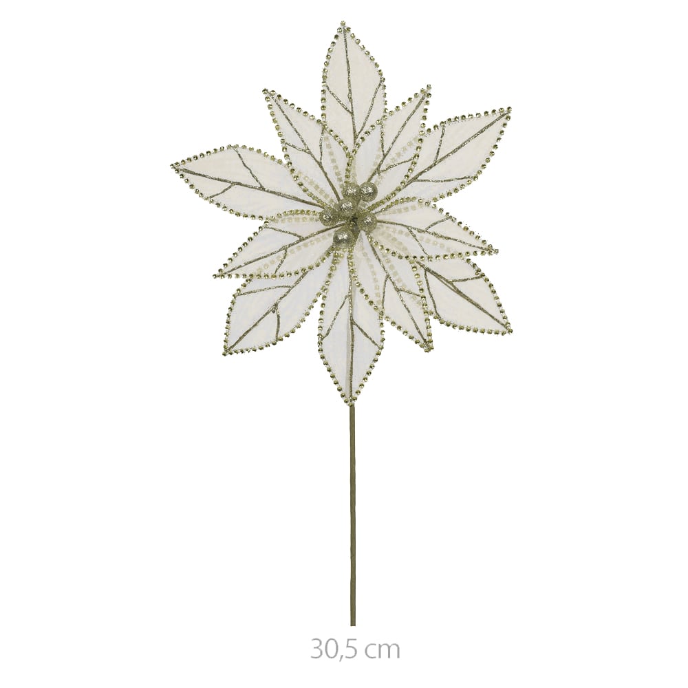 H.BICO PAPAGAIO NATAL (CHAMPANHE) 27cm