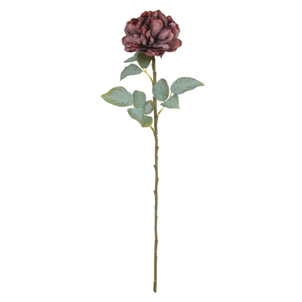 H.PEONIA (MARSALA) 66cm