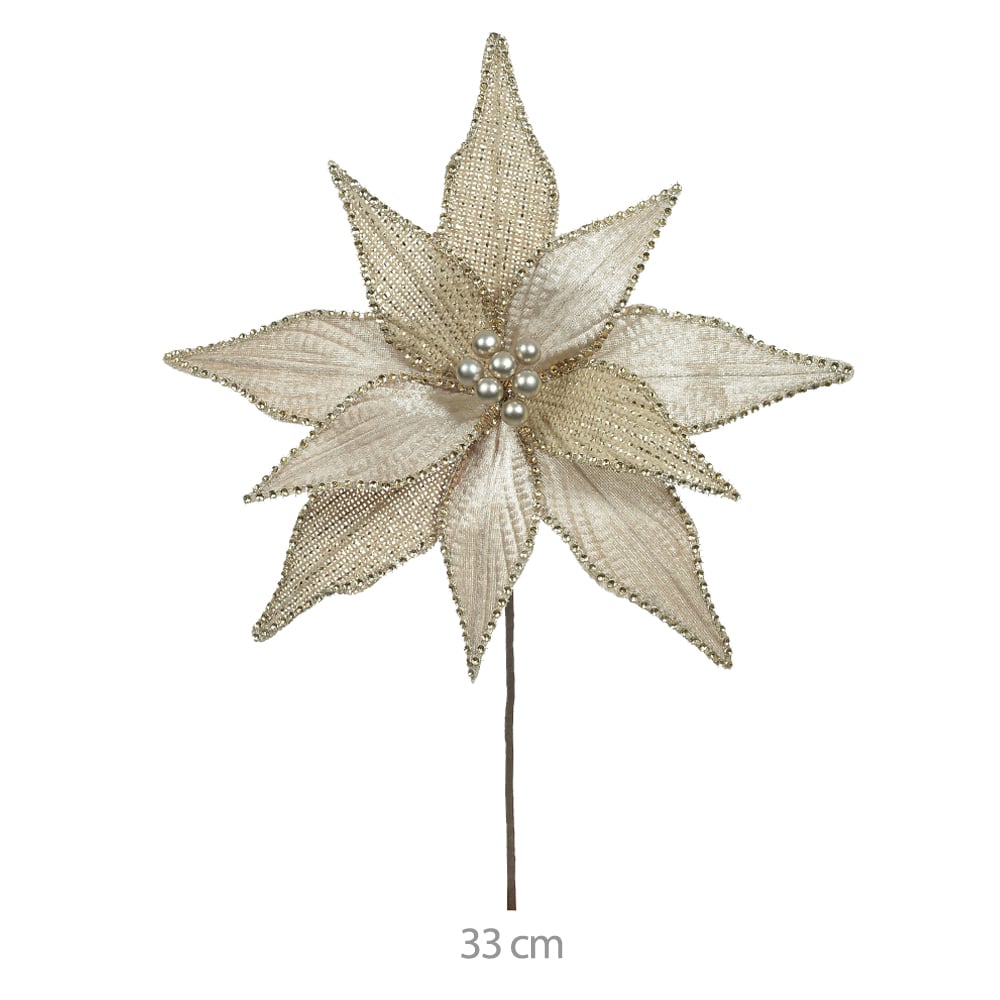 H.BICO PAPAGAIO NATAL (CHAMPANHE) 30cm