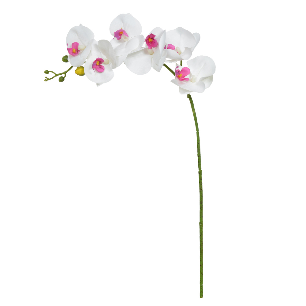 H.ORQUIDEA PHALAENOPSIS REAL TOQUE X6 (BRANCO BEAUTY) 82cm