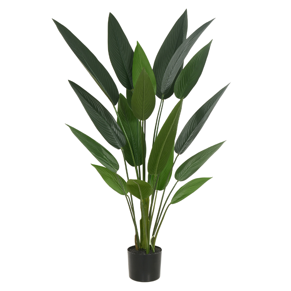 A.ESTRELICIA PU C/POTE X18 (VERDE) 1,2m