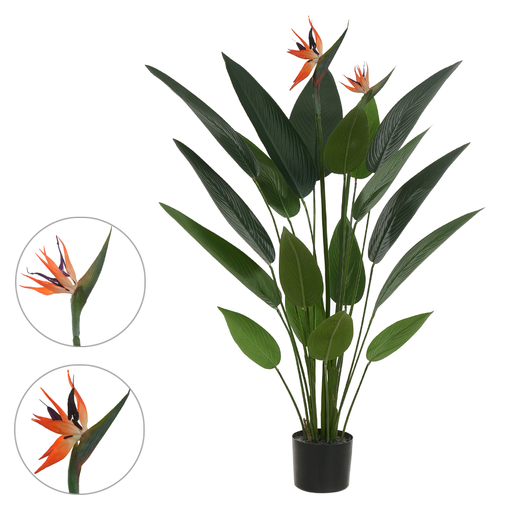 A.ESTRELICIA C/FLOR PU C/POTE X18 (VERDE) 1,2m