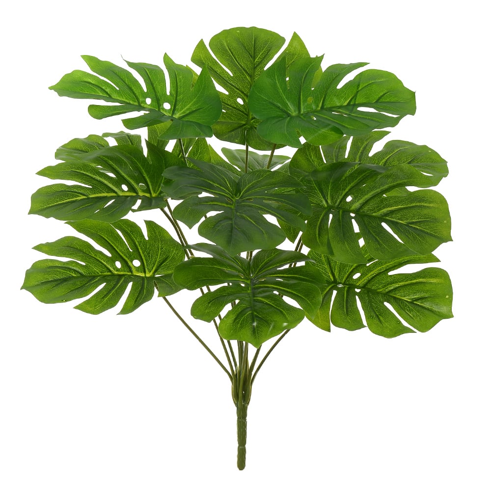 A.COSTELA ADAO REAL TOQUE X12 (VERDE) 45cm
