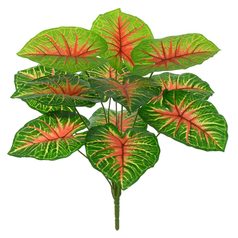 A.CALADIUM REAL TOQUE X12 (VERDE VERMELHO) 45cm