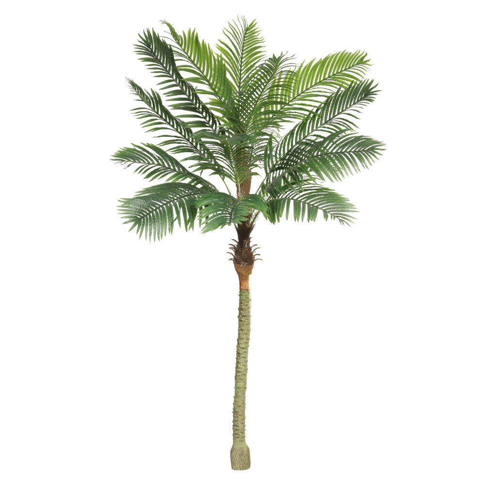 A.PALMEIRA REAL TOQUE X15 (VERDE) 2,5m