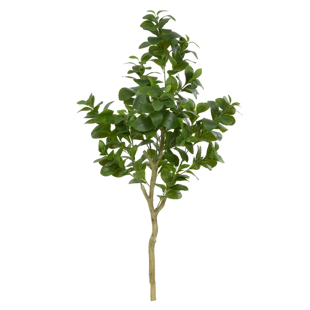 A.CLUSIA REAL TOQUE X282 (VERDE) 1,2m