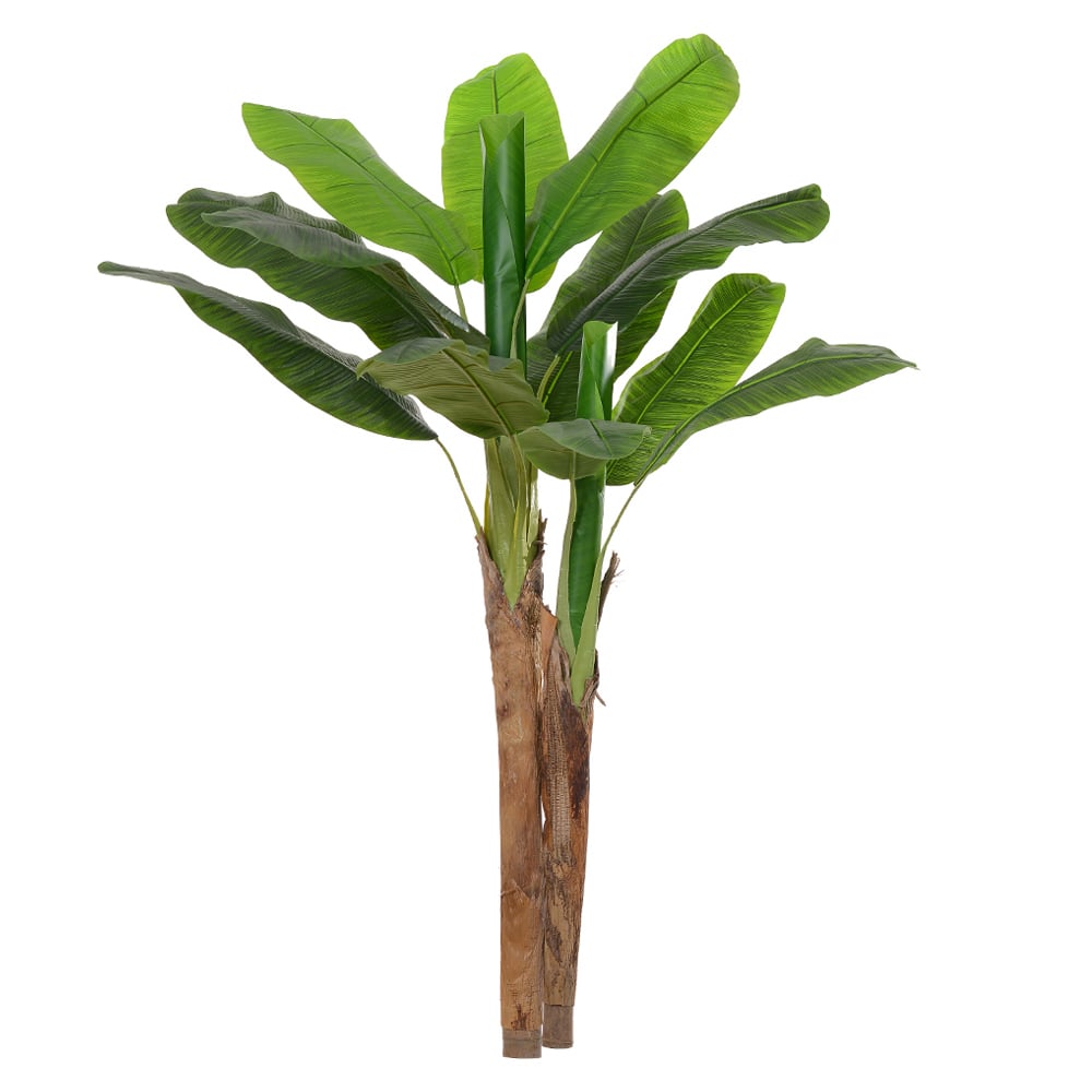 A.BANANEIRA REAL TOQUE X12 (VERDE) 1,7m