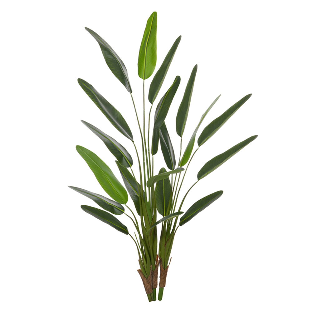 A.ESTRELICIA REAL TOQUE X19 (VERDE) 1,5m