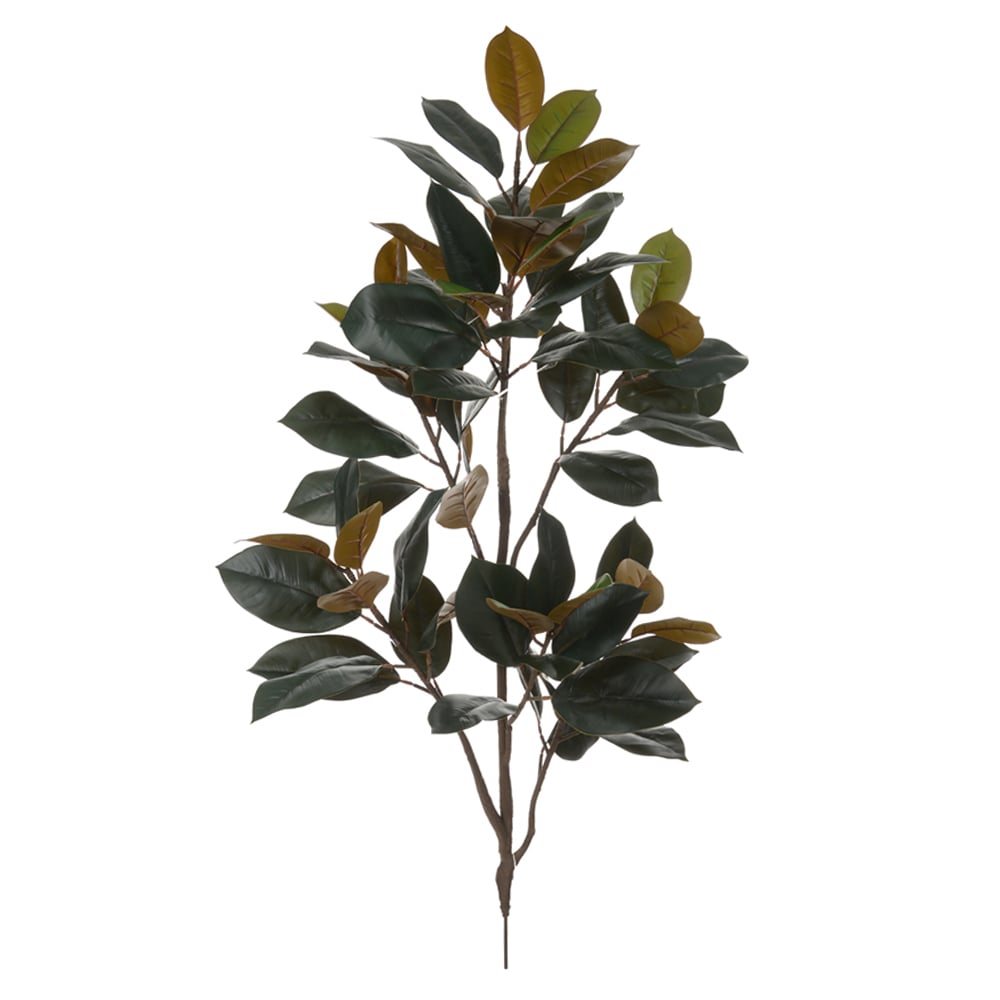 A.FICUS ELASTICA REAL TOQUE C/COAT X64 (VERDE AMARELO) 1,25m
