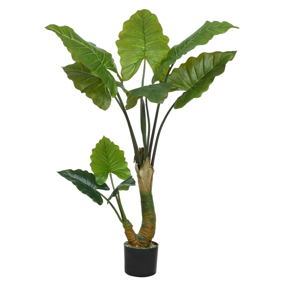 A.ALOCASIA REAL TOQUE C/POTE X9 (VERDE) 1,3m