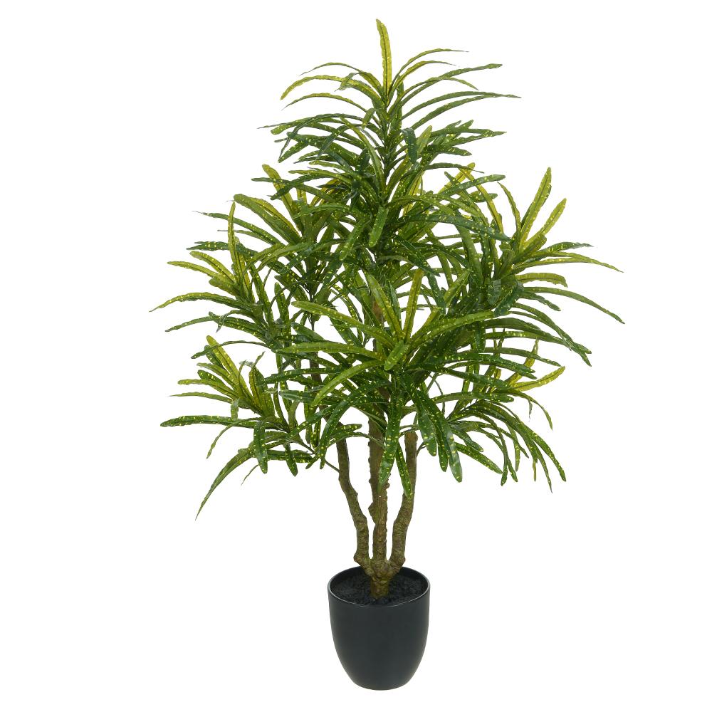 A.CROTON REAL TOQUE C/POTE X300 (VERDE AMARELO) 1m
