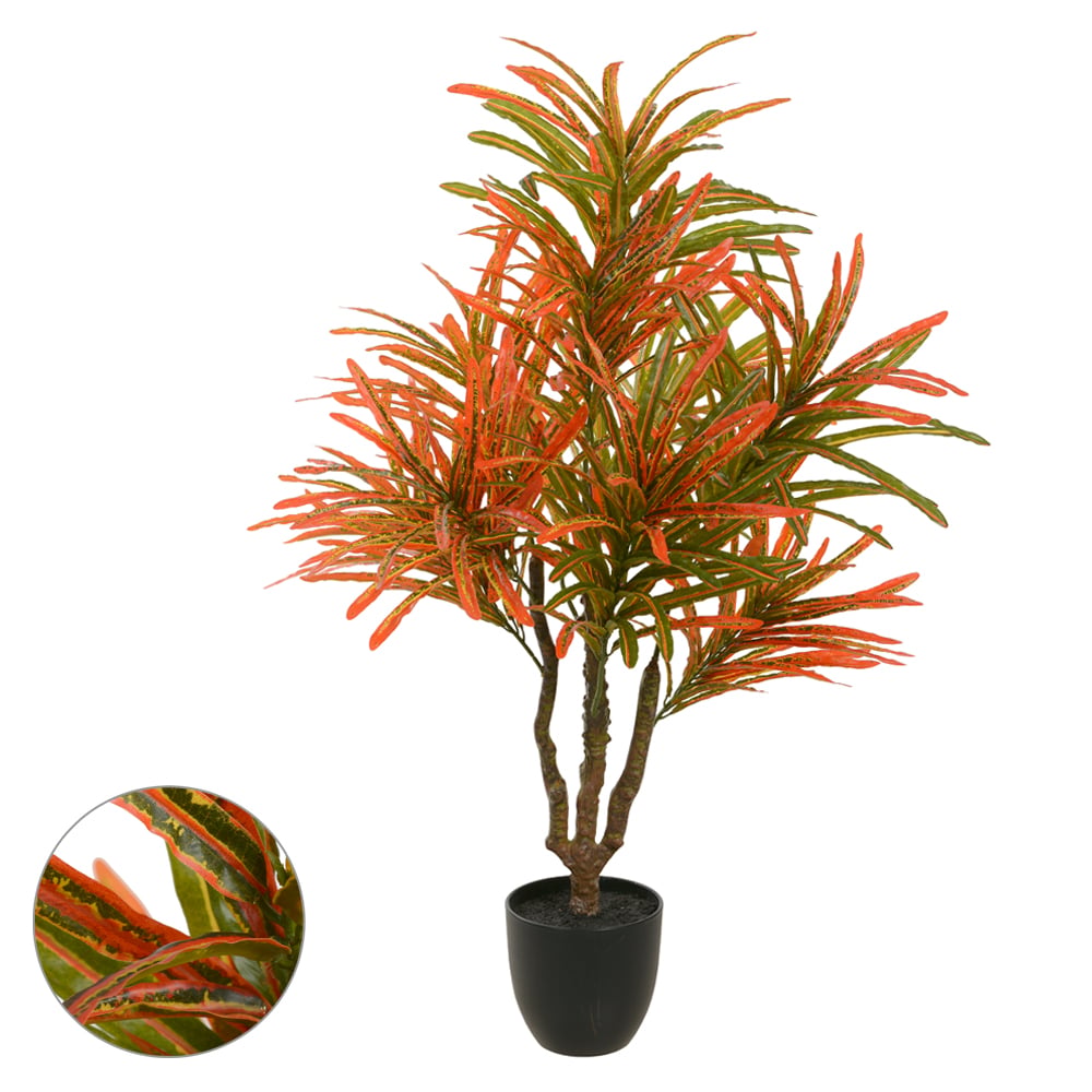 A.CROTON REAL TOQUE C/POTE X300 (VERDE VERMELHO) 1m