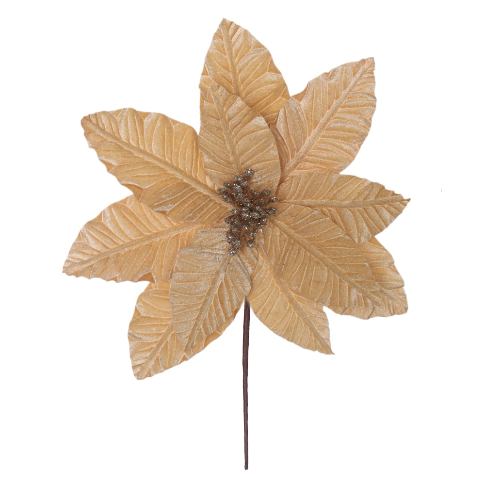 H.BICO DE PAPAGAIO NATAL AVELUDADO (CHAMPANHE) 20cm 30d 11P
