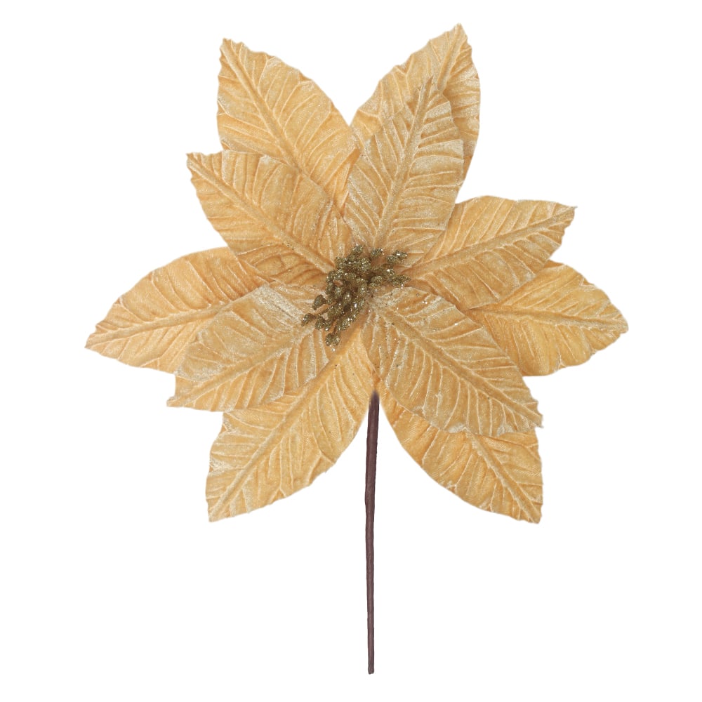 H.BICO DE PAPAGAIO NATAL AVELUDADO (DOURADO) 20cm 30d 11P
