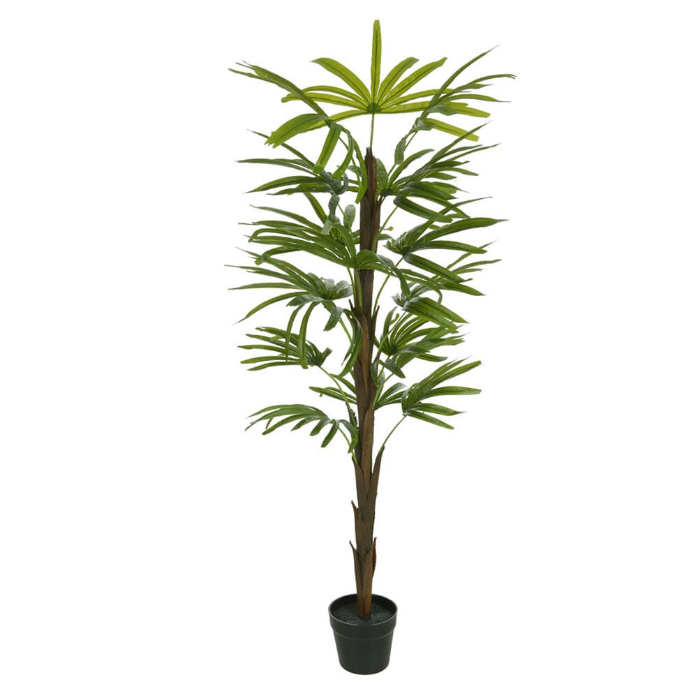 A.PALMEIRA RAPHIS REAL TOQUE X18 (VERDE) 1,5m