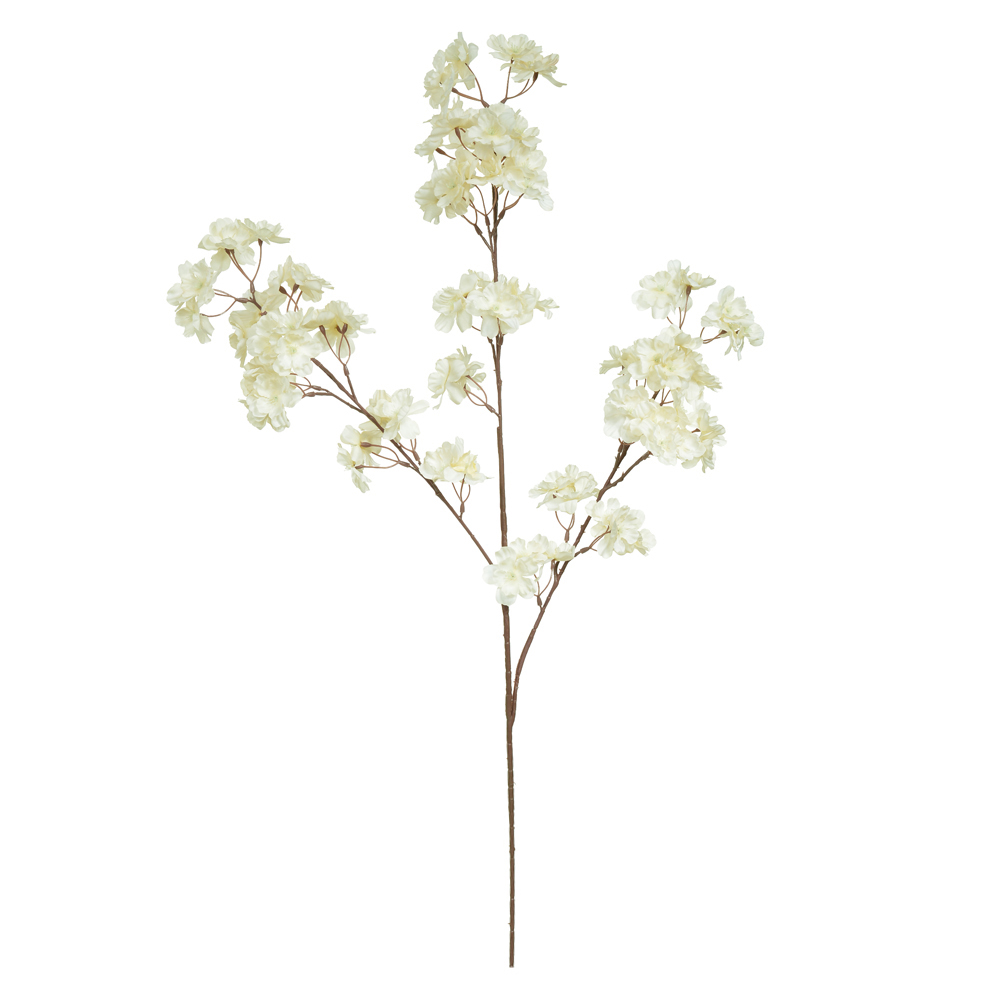 H.FLOR CEREJEIRA X99 (CREME) 1m