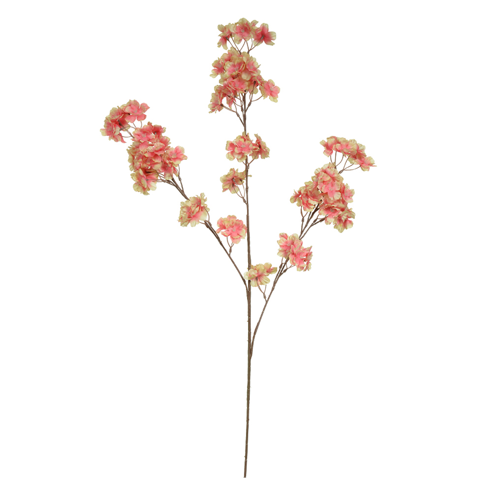 H.FLOR CEREJEIRA X99 (ROSA 2T) 1m