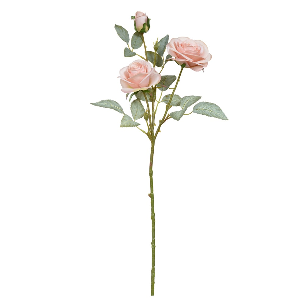 H.ROSA X3 (SALMAO) 71cm