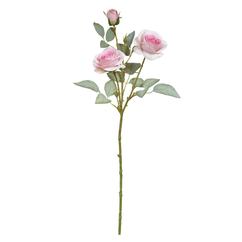 H.ROSA X3 (ROSA 2T) 71cm