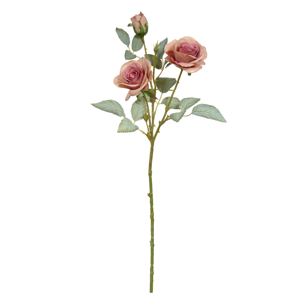 H.ROSA X3 (MAUVE 2T) 71cm