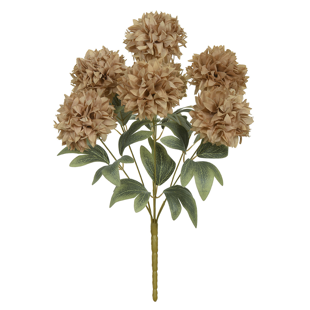 B.CRISANTEMO X7 (CHA) 42cm