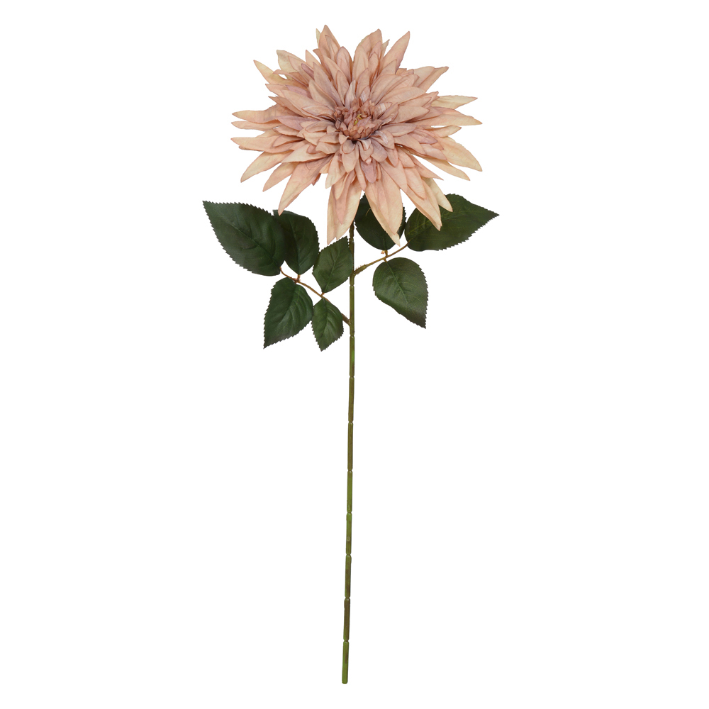 H.DALIA (CHA) 63cm
